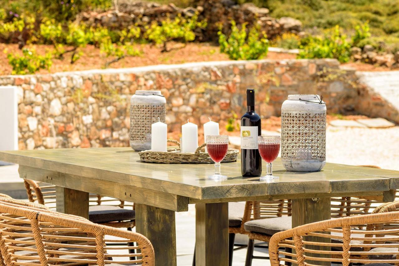 Paros Villa Blue Senses Alikí Екстериор снимка